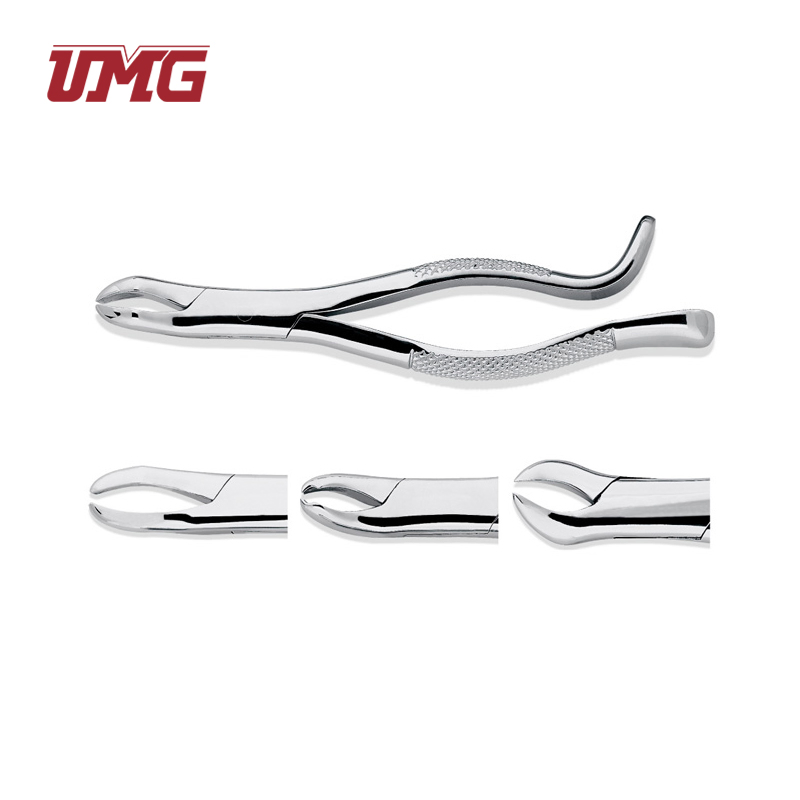 Stainless Steel Dental Surgical Extraction Instruments Adult Tooth Extracting Forceps