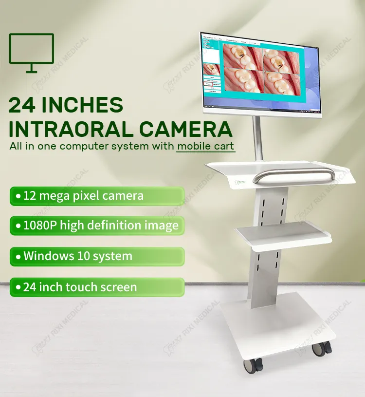 Dental Intraoral Camera System