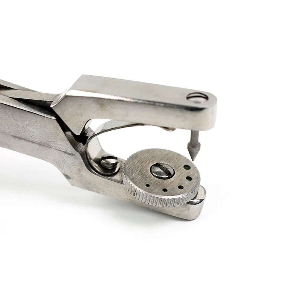 Ainsworth Dental Rubber Dam Hole Punch Punching Plier Endodontic Instruments Kit