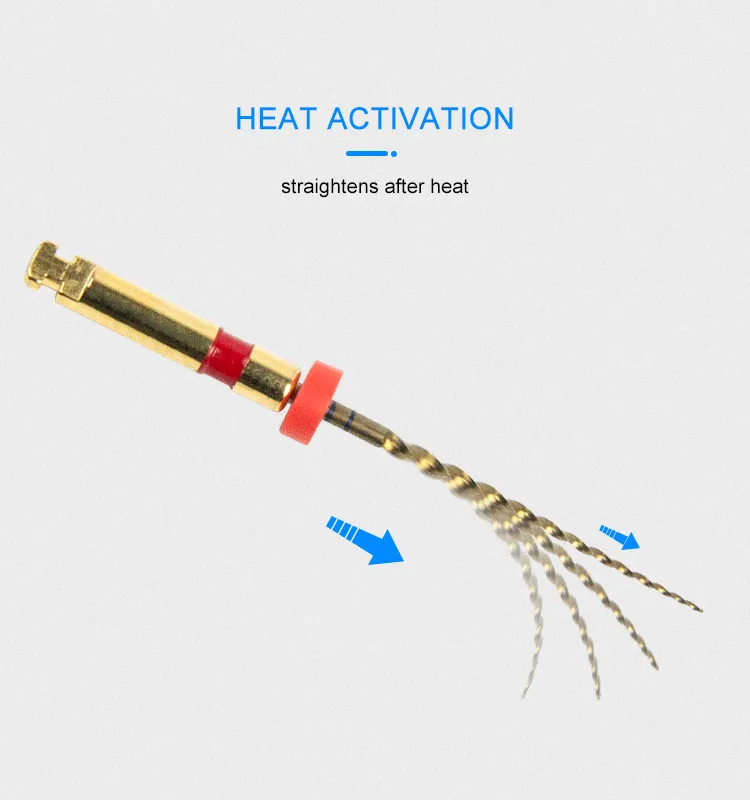 Niti Engine Endodontic File