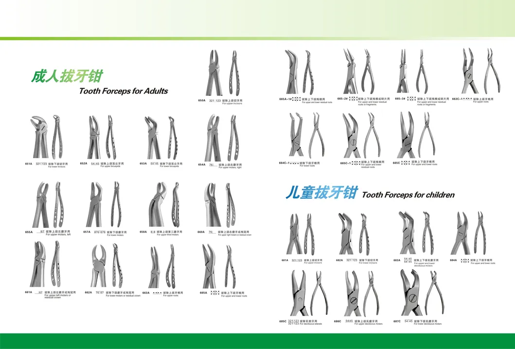 Dental Instrument Material Tooth Extracting Forceps Dental Forceps for Children