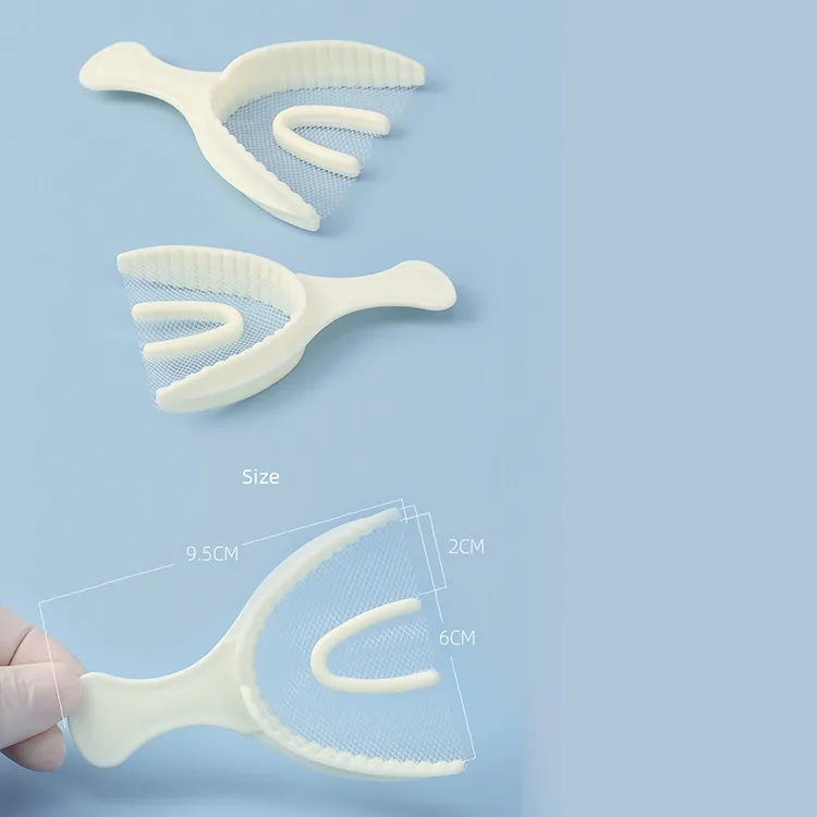 Dental Mesh Tray 1