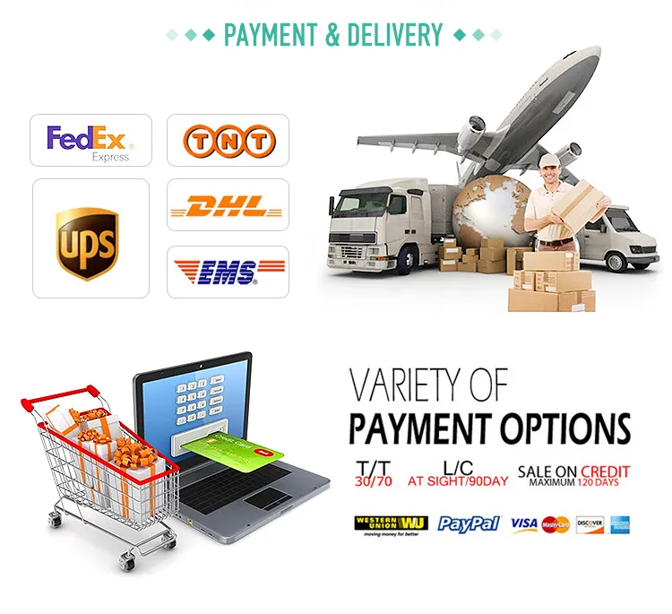 Dental Instrument View 3