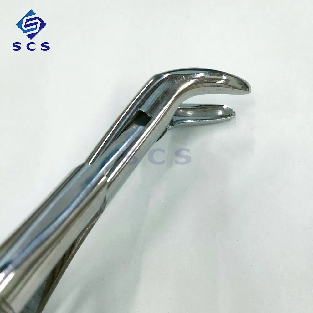 Factory Price High Quality Dental Instrument Tooth Extraction Forceps