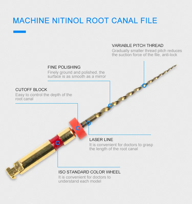 Roots Canal Niti File