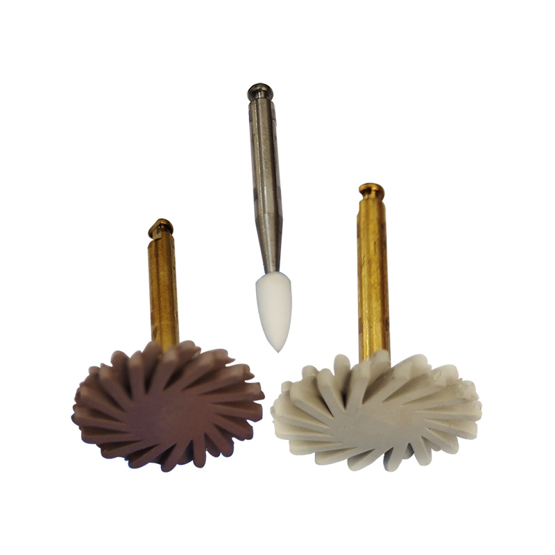 Dental Laboratory Products Special Resin Polishing Kit