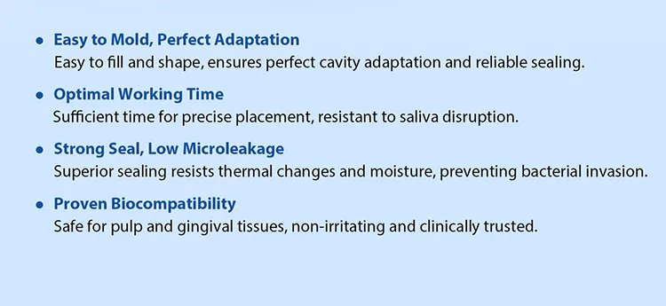 Temporary Filling Material 5