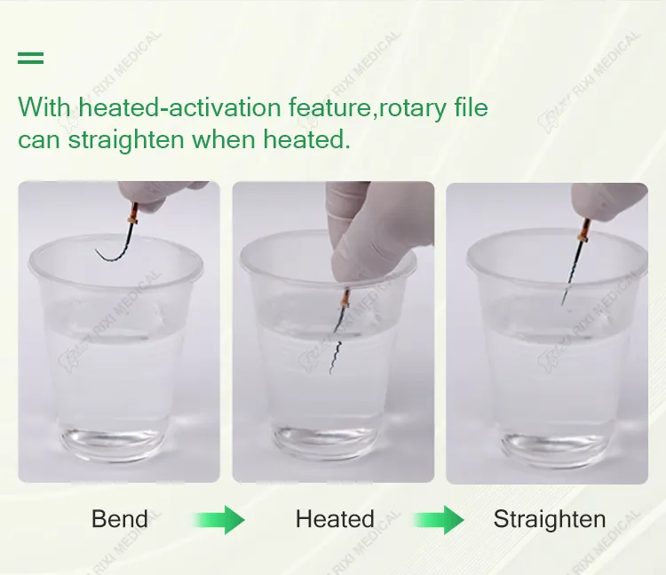 Detailed Rotary File 3