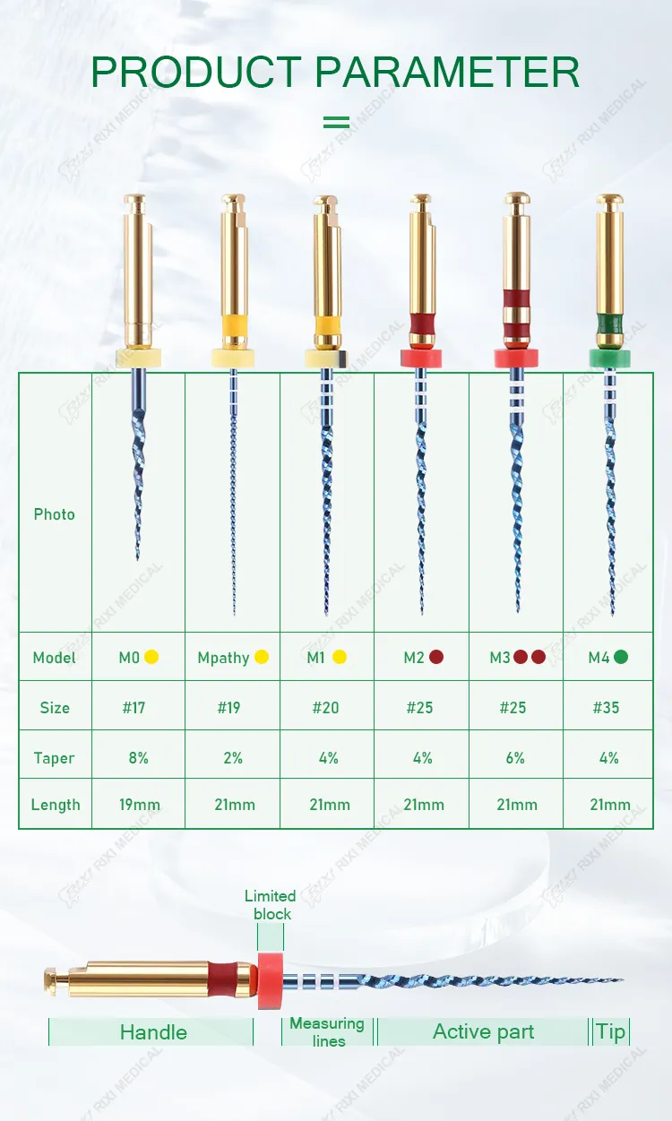 Detailed Rotary File 1