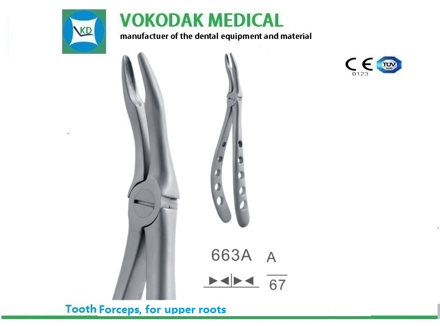 Dental Tooth Extracting Forceps Orthodontic Produtcts with Ce