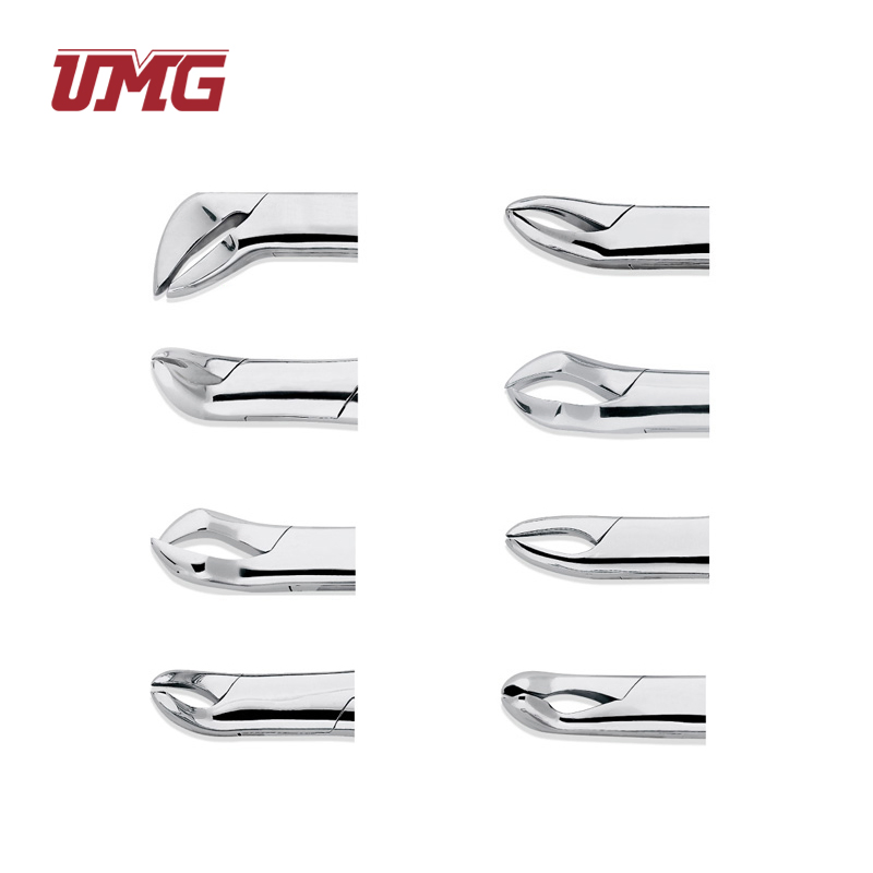 Stainless Steel Dental Surgical Extraction Instruments Adult Tooth Extracting Forceps