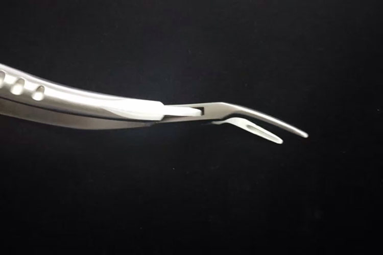 Euro-Market! ! ! 2019 Best Selling Stainless Steel Dental Extraction Forceps