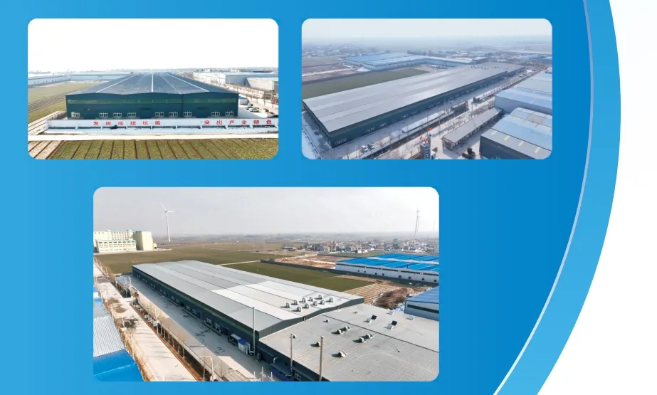 Diamond Dental Burs Quality