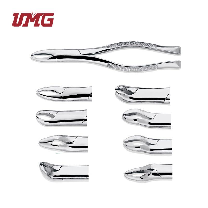 Stainless Steel Dental Surgical Extraction Instruments Adult Tooth Extracting Forceps