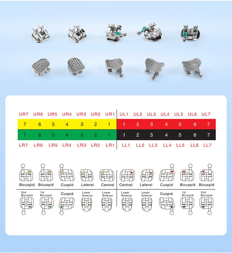 Dental Bracket Detail 5