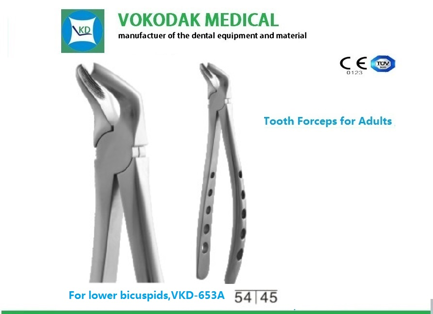 Top Sale Dental Tooth Extracting Forceps with CE