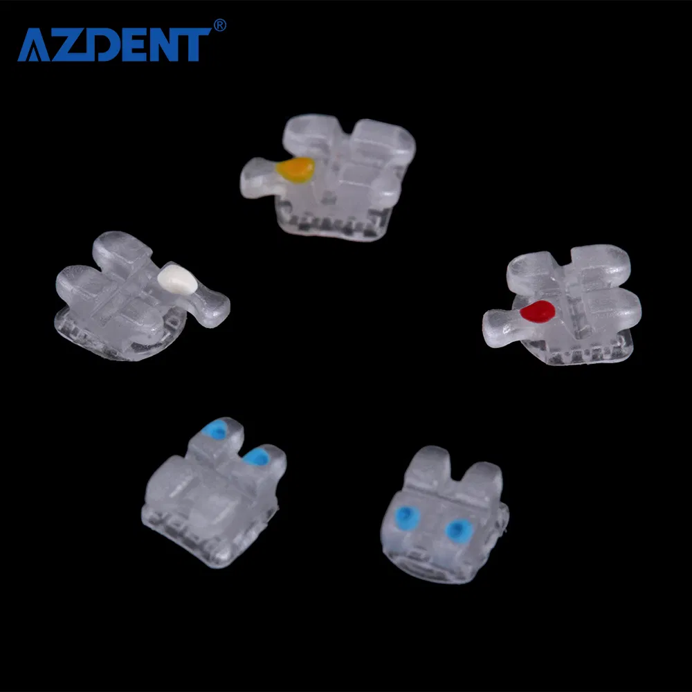 Ceramic Bracket Detail 4