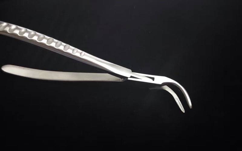Euro-Market! ! ! 2019 Best Selling Stainless Steel Dental Extraction Forceps