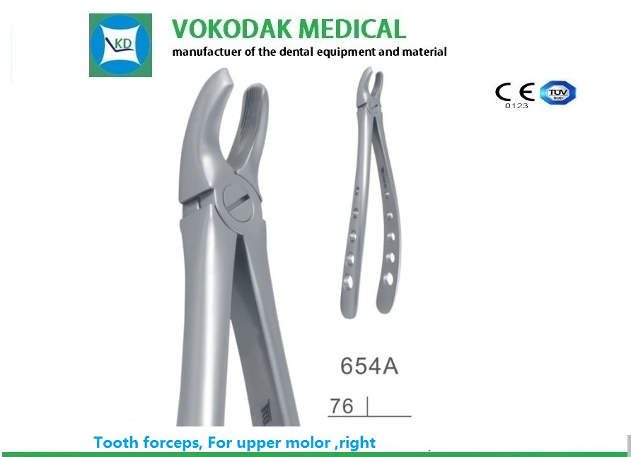 Top Sale Dental Tooth Extracting Forceps with CE