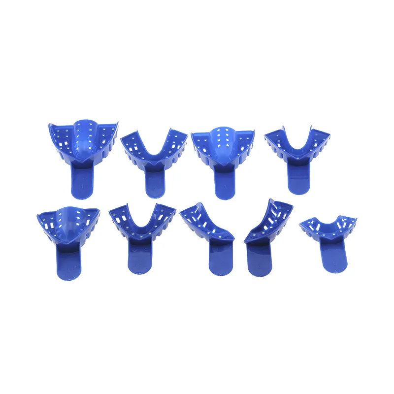 Dental Tray Detail 1