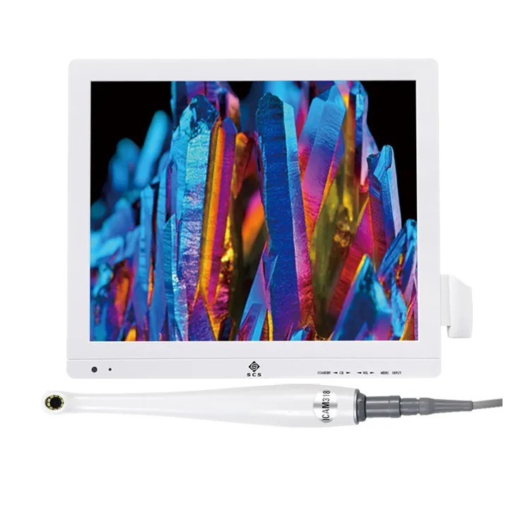 Intraoral Camera Display