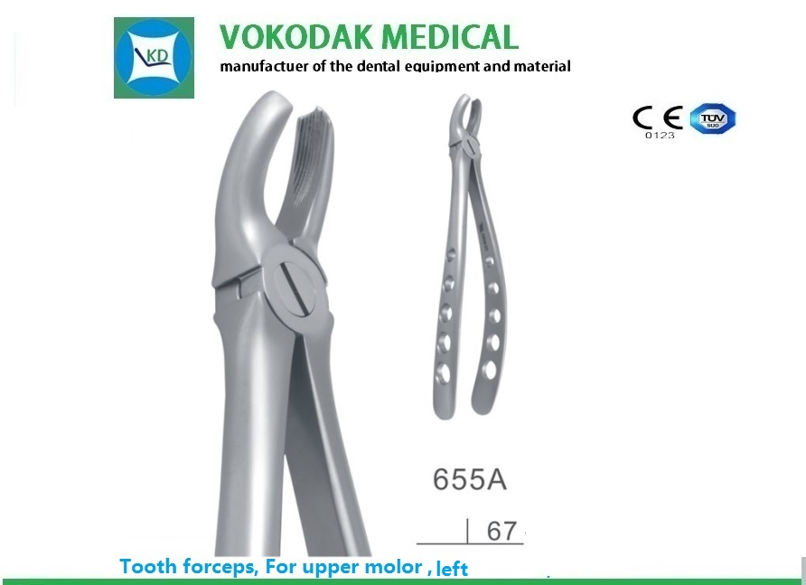 Top Sale Dental Tooth Extracting Forceps with CE
