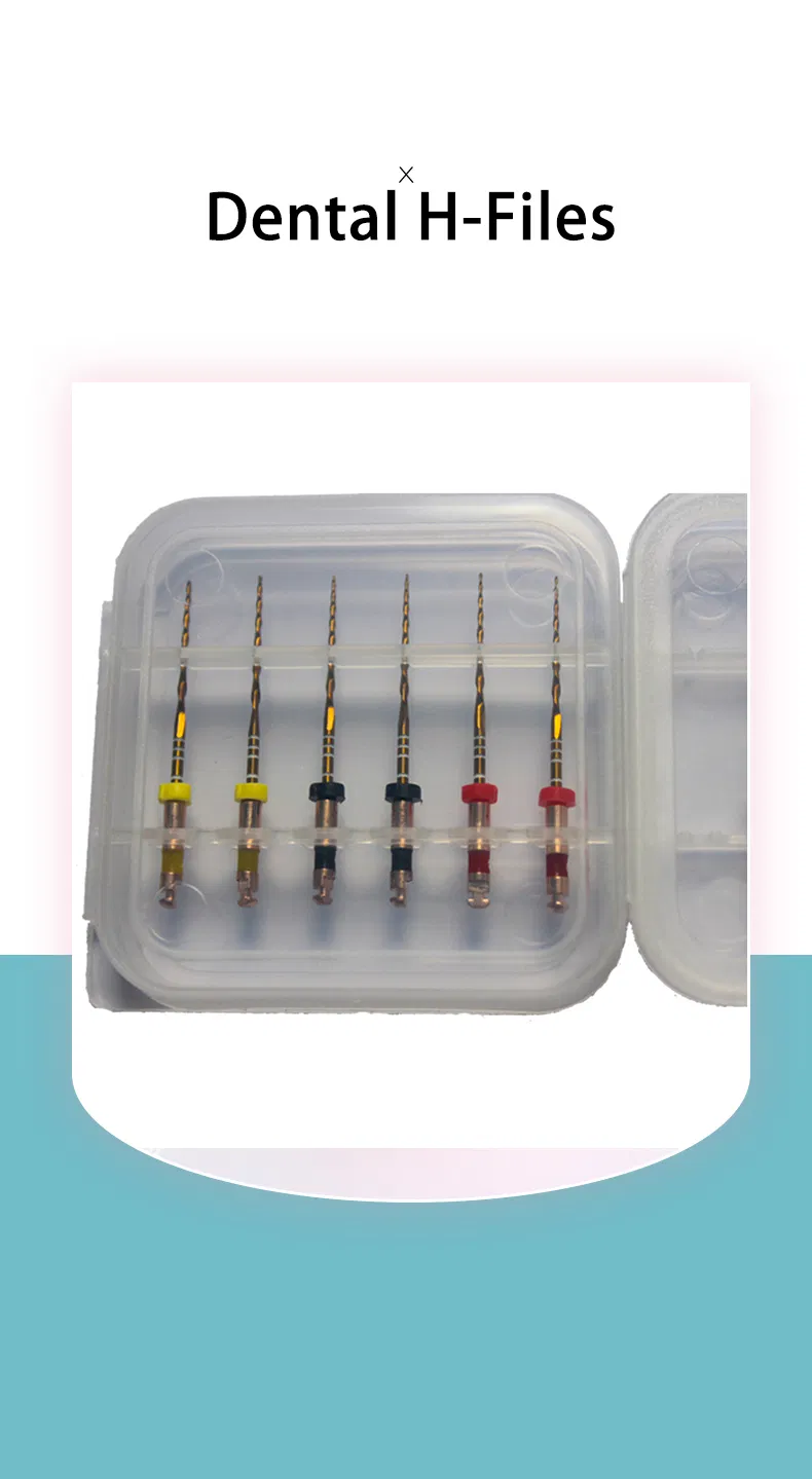 Endodontic File Detail 1