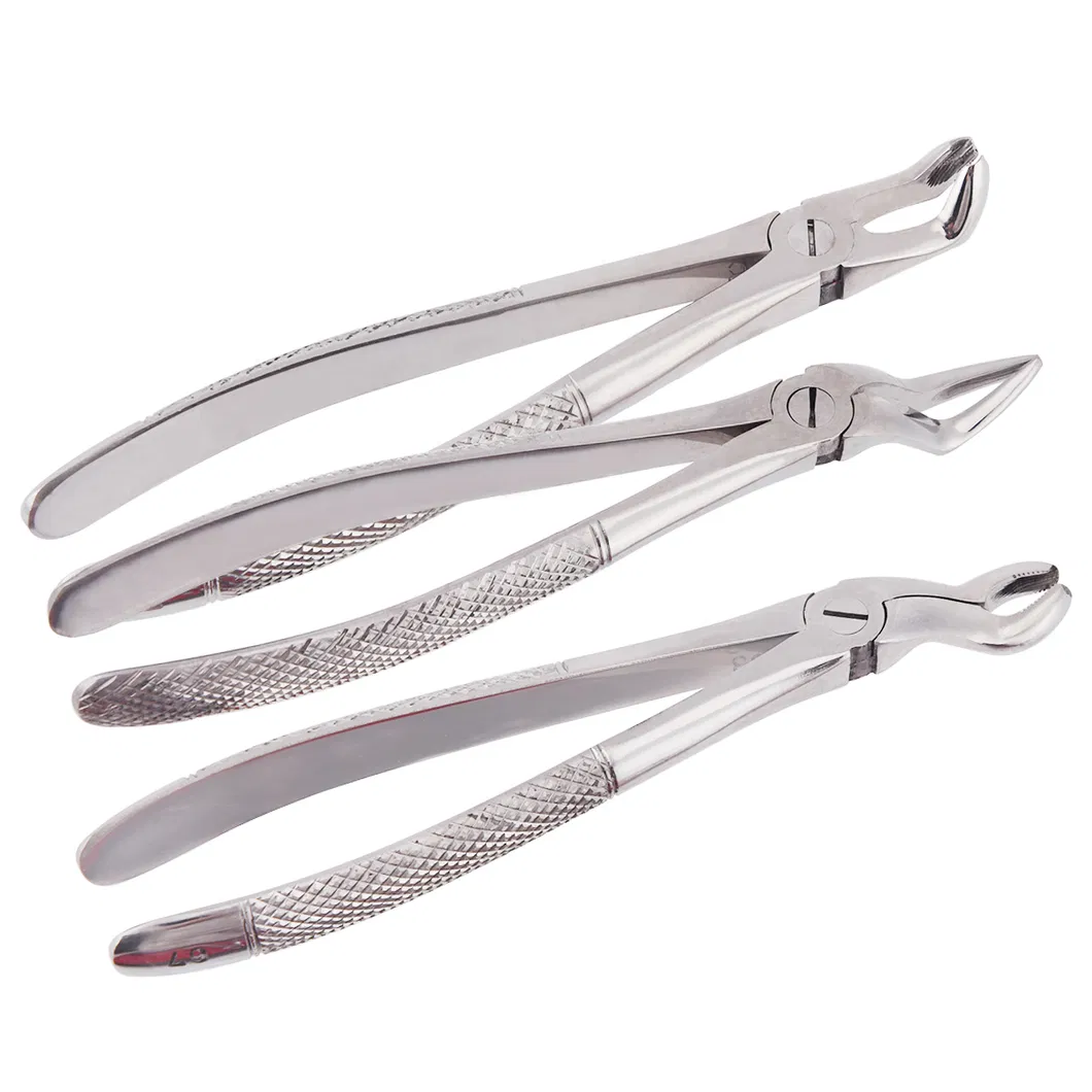 Dental Extraction Forceps Kit 6
