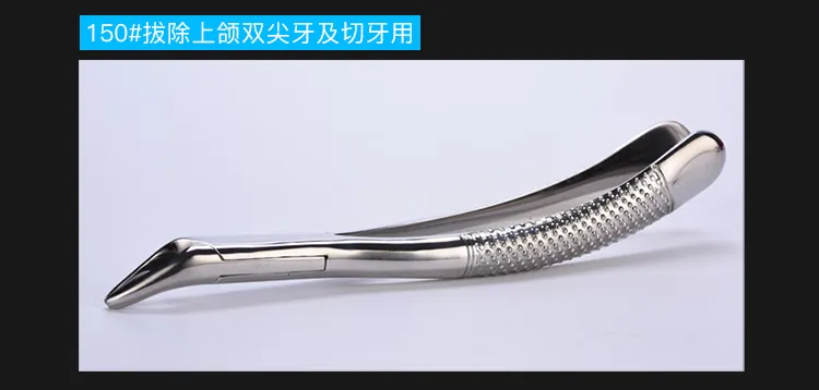 Dental Tools Display