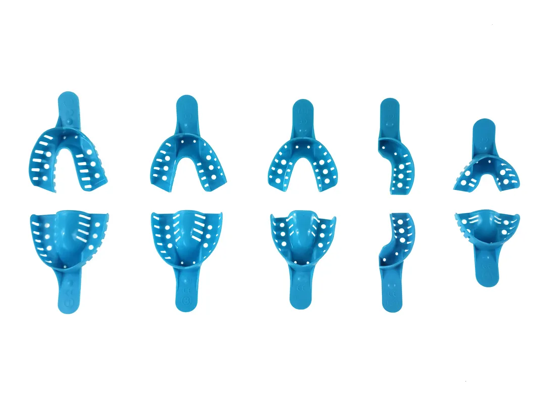 Dental Tray Detail 2