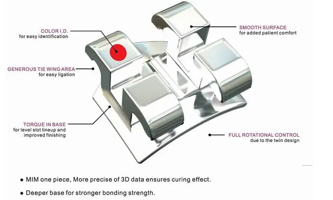 Orthodontic Detail 5