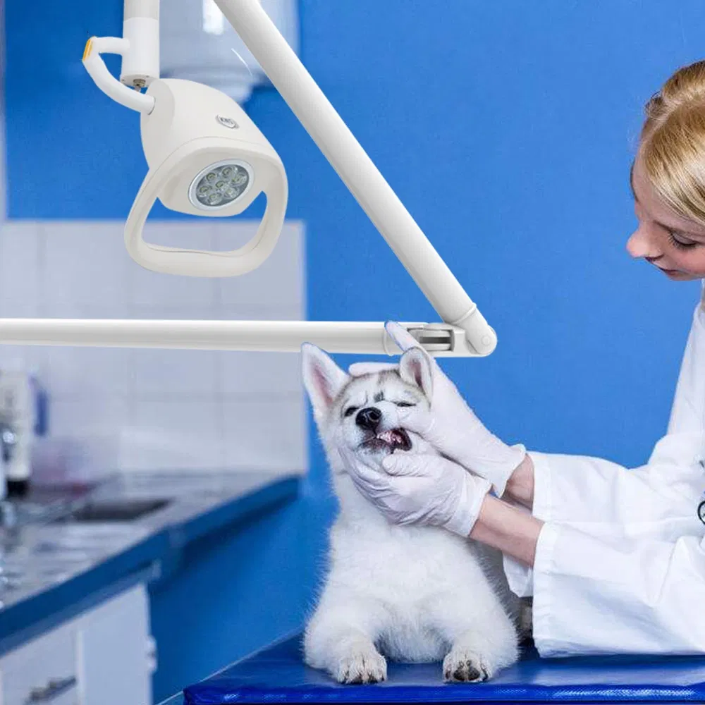 Ceiling-Mounted Surgical Light LED Dental Lamp Operatory Surgery Light for Pet Clinic