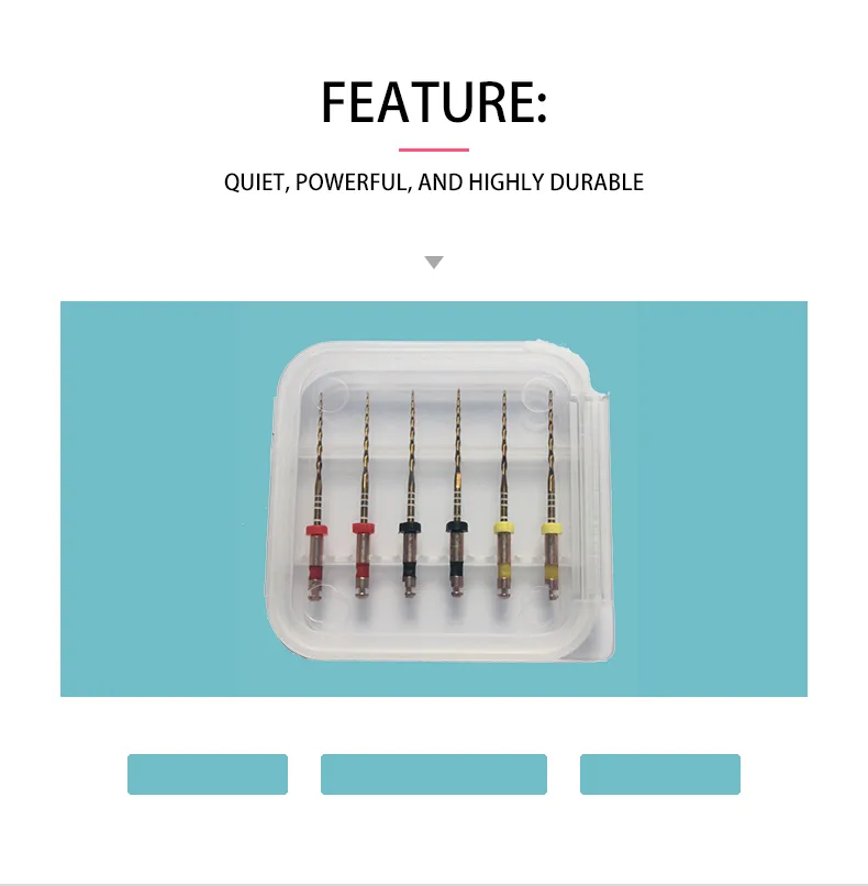 Endodontic File Detail 2