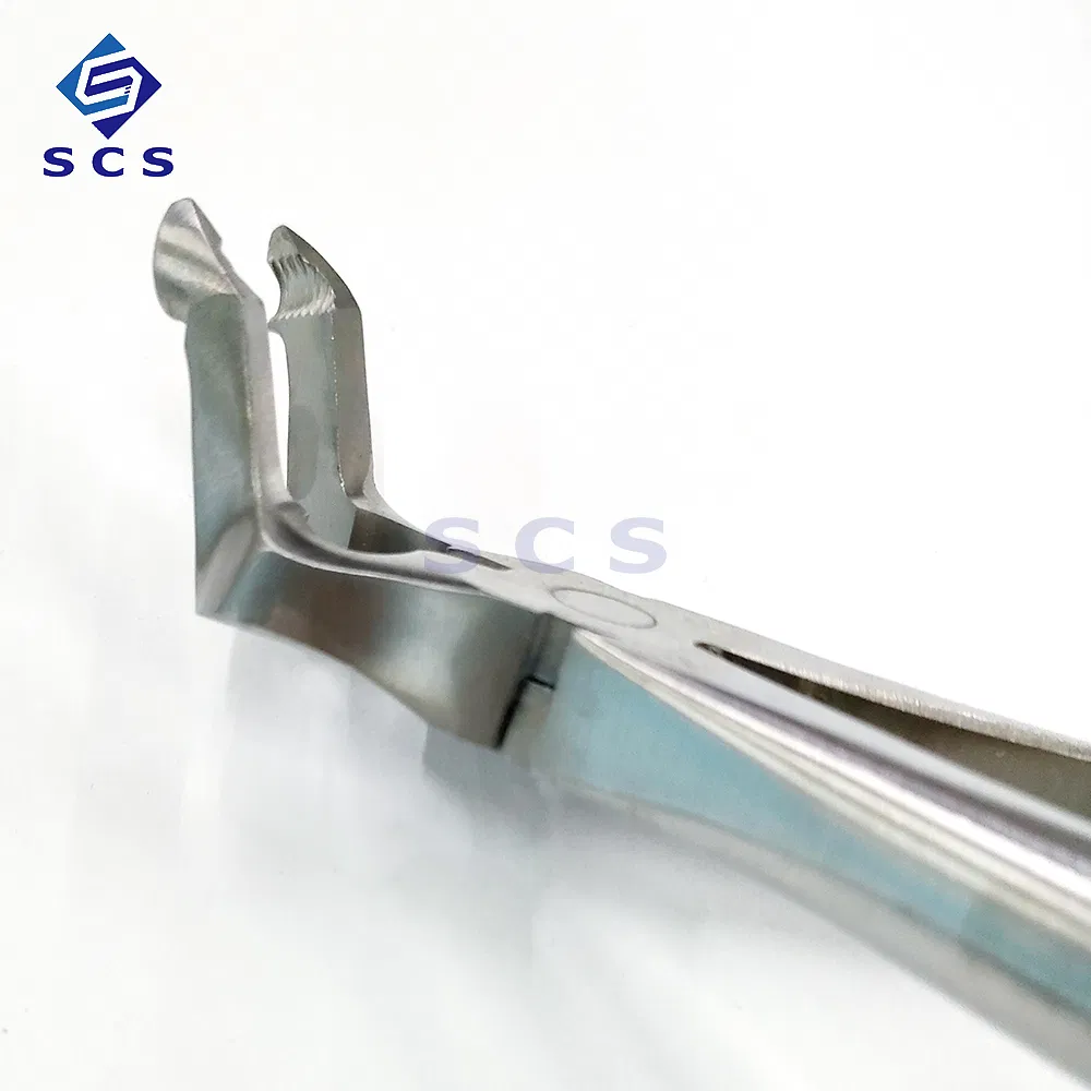 Extraction Forceps 6