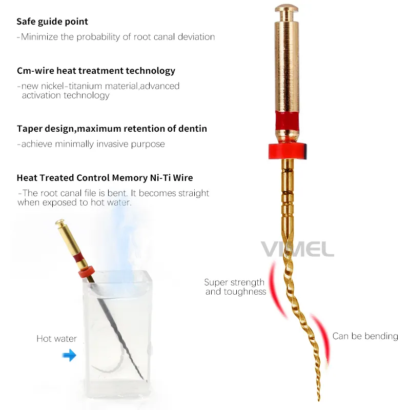 Dental Endo File View 2