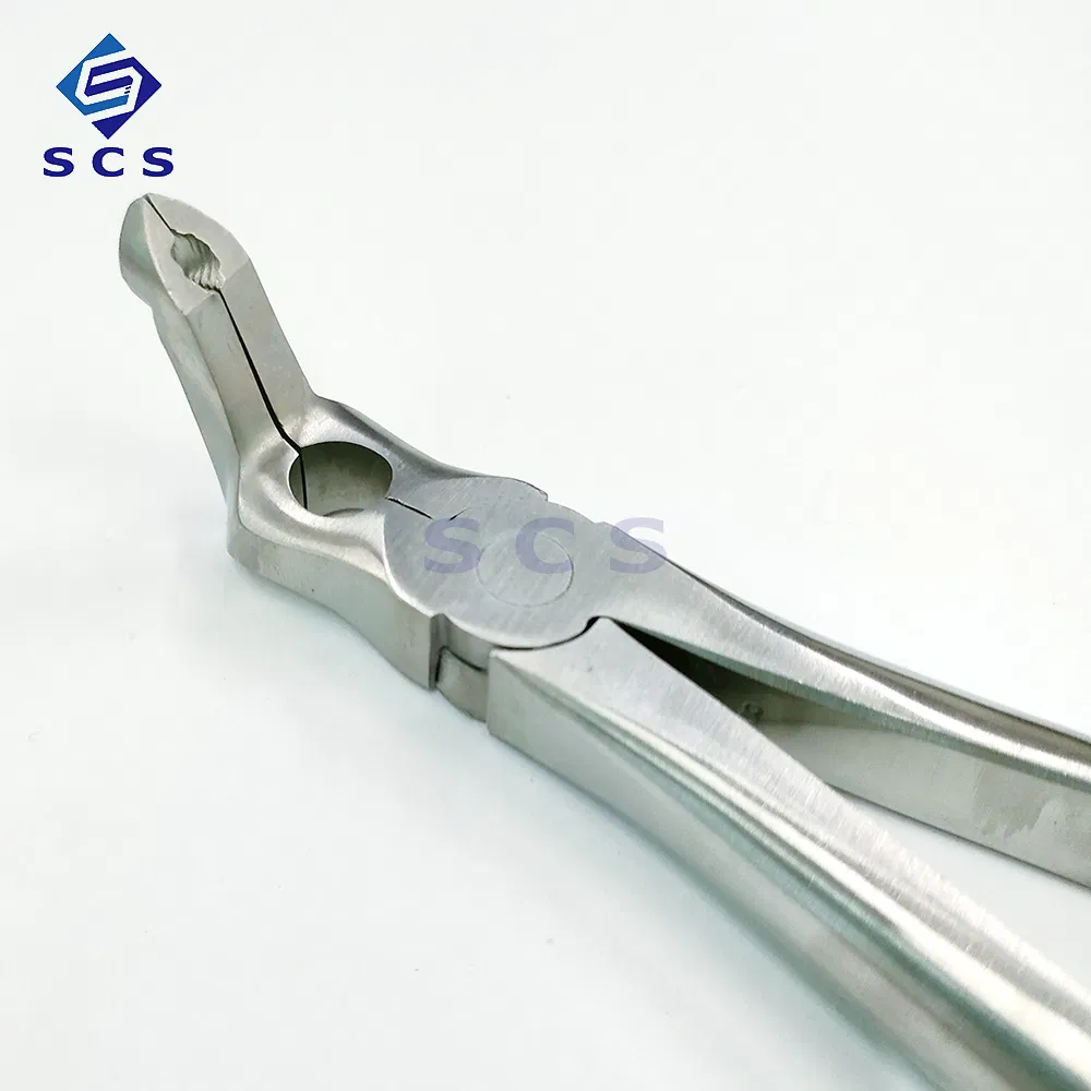 Premium Dental Forceps for Impacted Tooth Extraction Needs