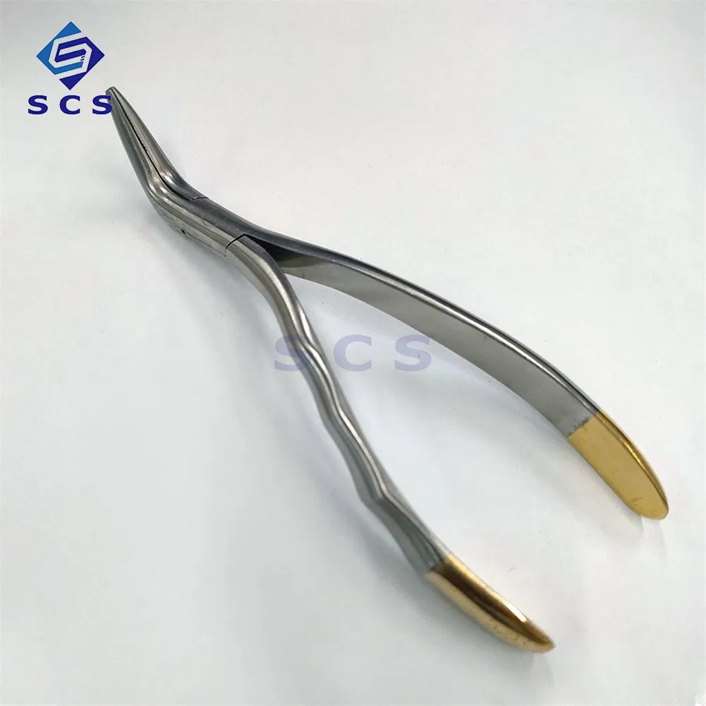 Metal Stainless Steel Material Dental Instrument Residual Root Extraction Forceps