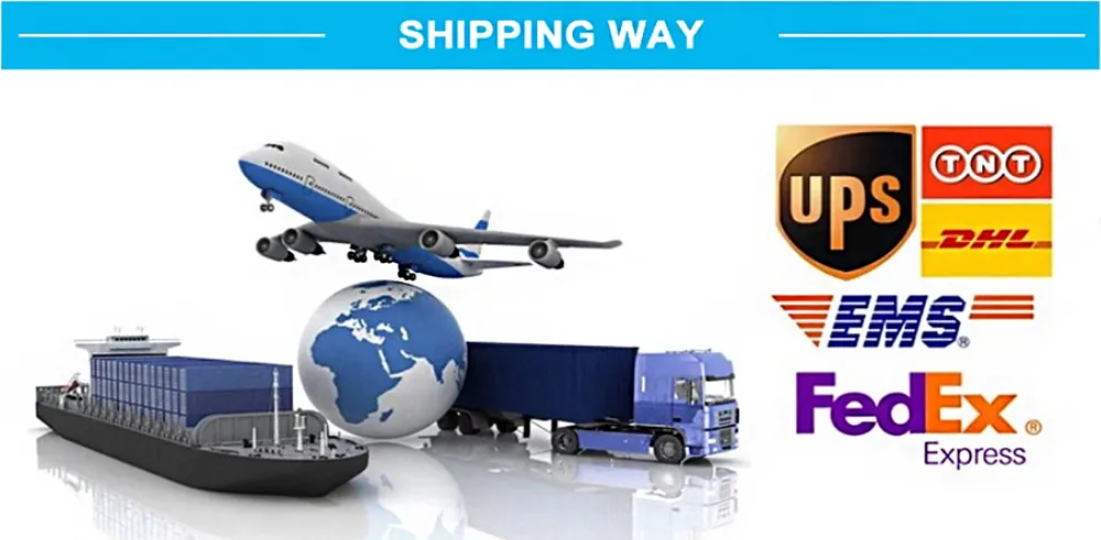 Shipping Logistics