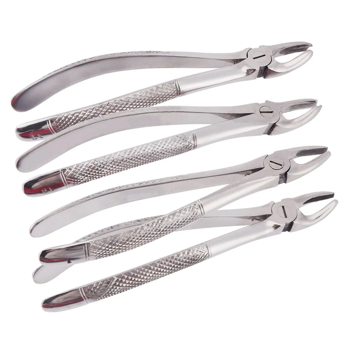 10 PCS Dental Extraction Forceps Pliers Kit Stainless Steel for Adults