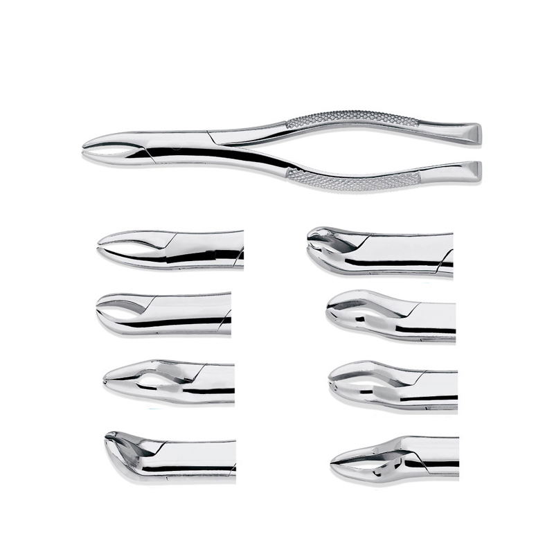 Stainless Steel Dental Surgical Extraction Instruments Adult Tooth Extracting Forceps
