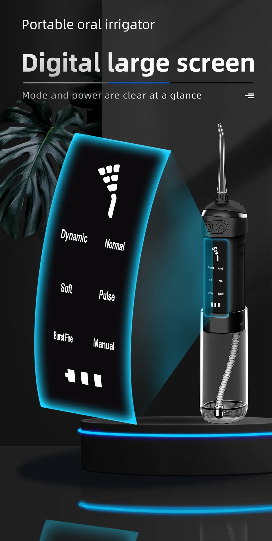 Water Flosser Details