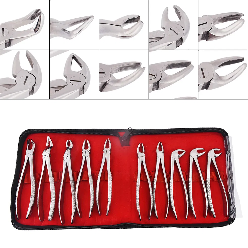 10 PCS Dental Extraction Forceps Pliers Kit Stainless Steel for Adults