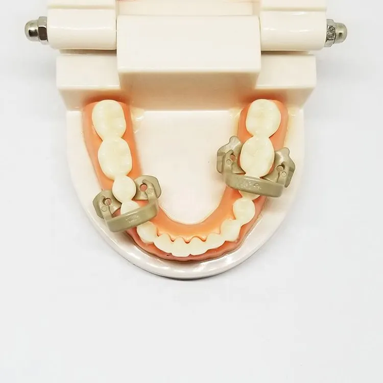 Dental Rubber Dam Clamp 4