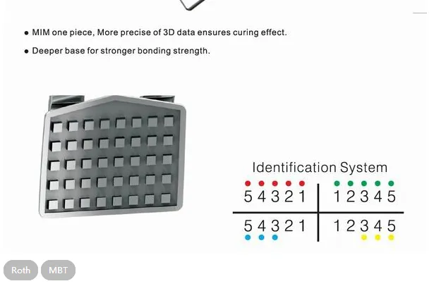 Orthodontic Detail 6