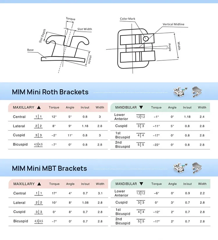 Dental Bracket Detail 4