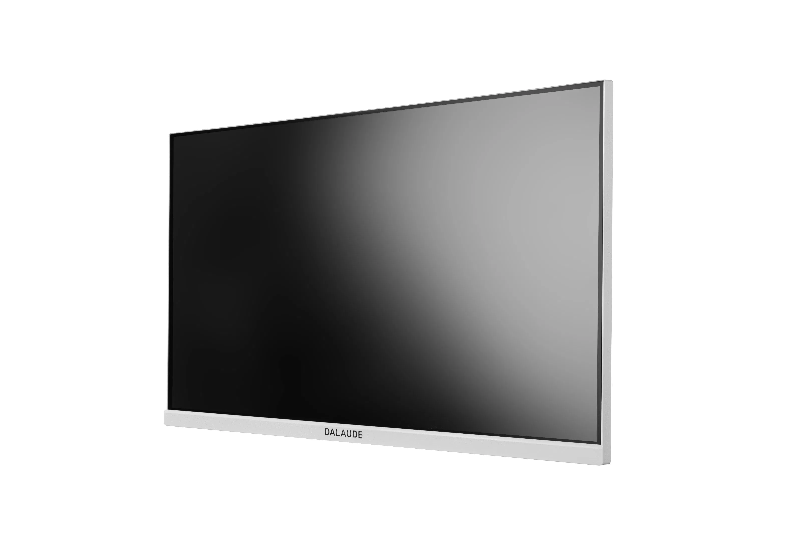 Computer Type Intraoral Camera Compatible with CT, X-ray File Function