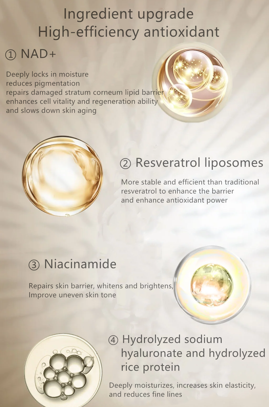 Product Details 4