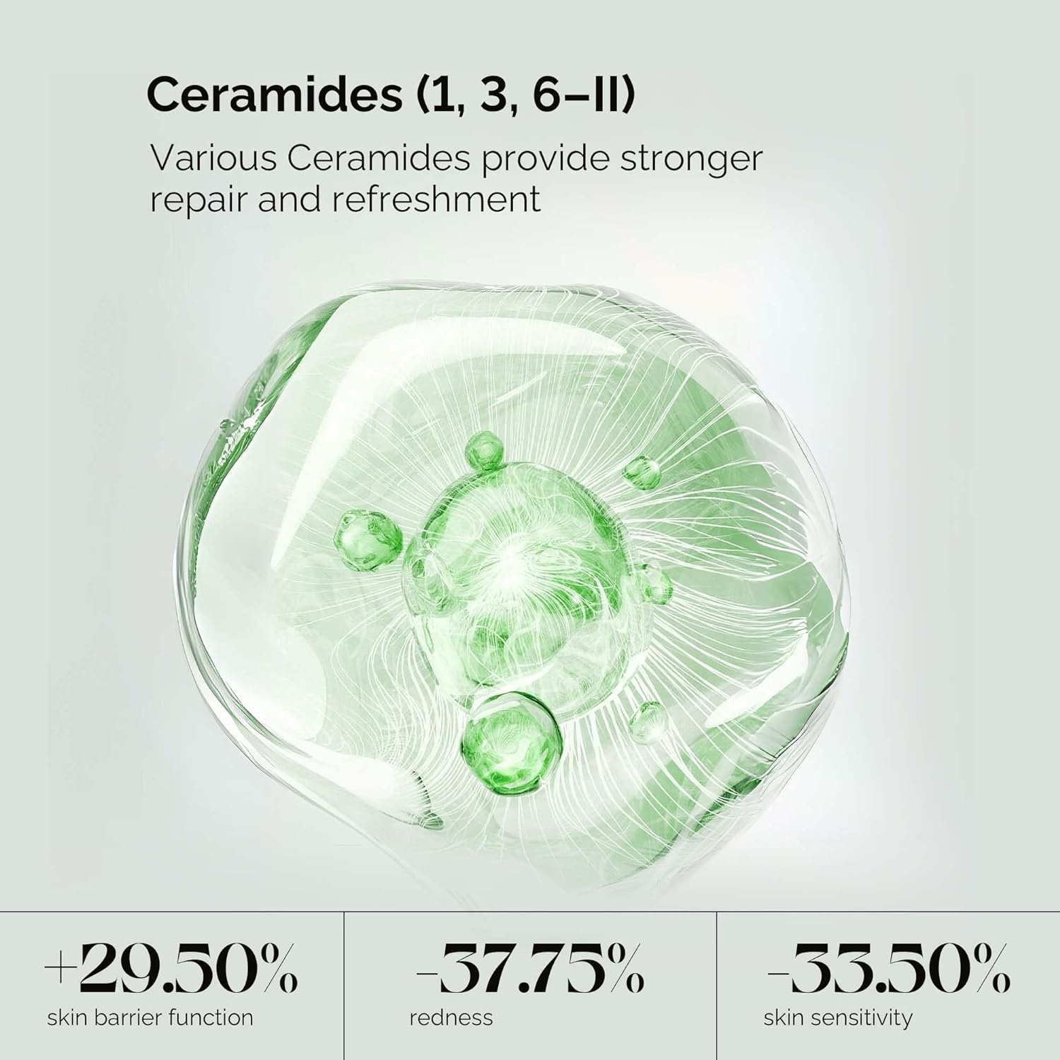 Product Detail 5