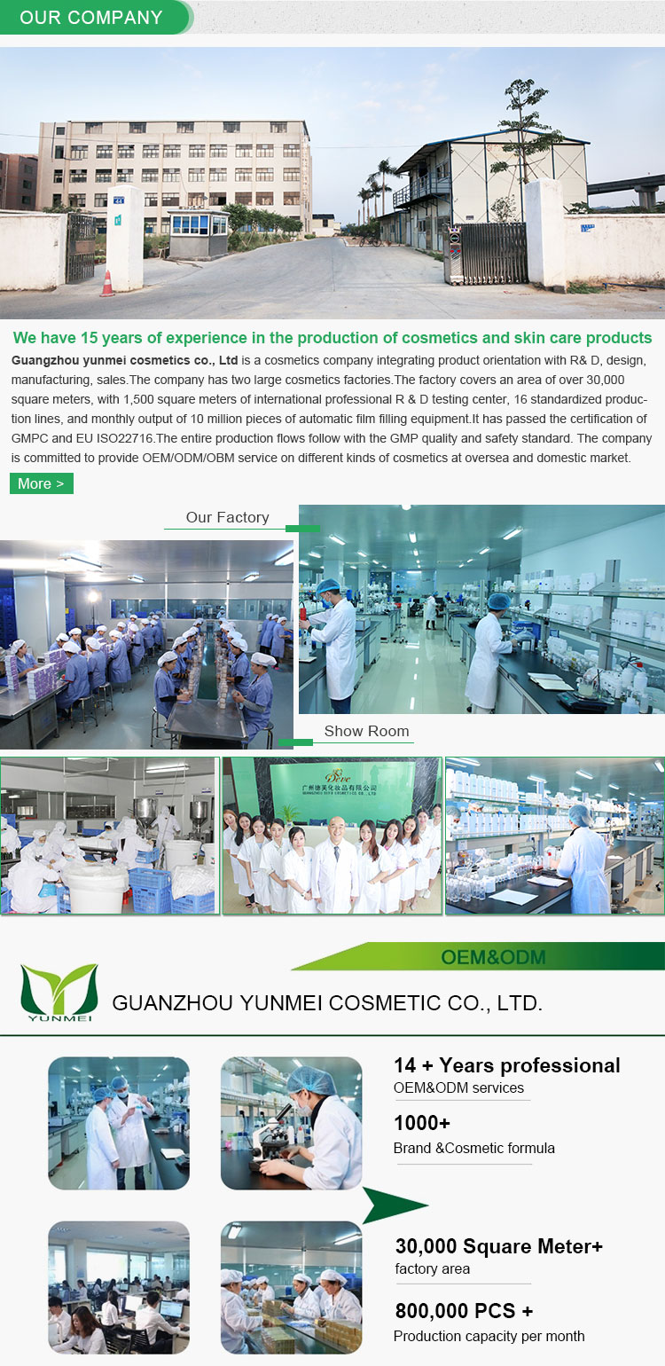 Company Introduction