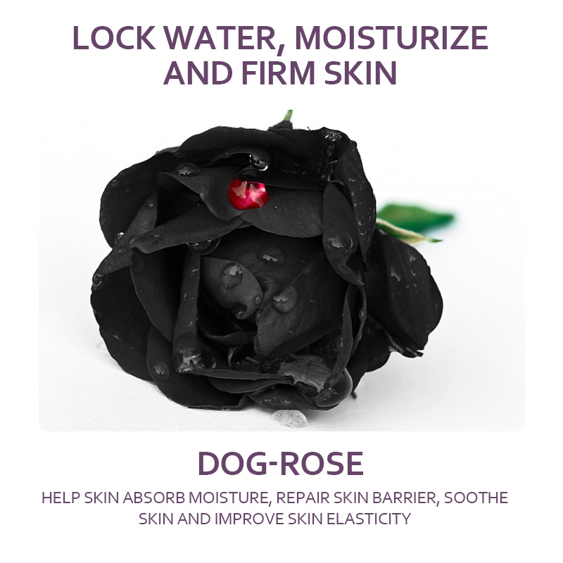 Niacinamide Retinol Anti-Aging Face Serum Firming Lifting Serum with Intense Moisturizing Professional OEM/ODM Skincare